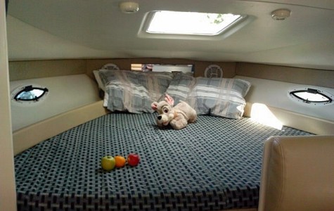 bayliner-285-ciera (4)