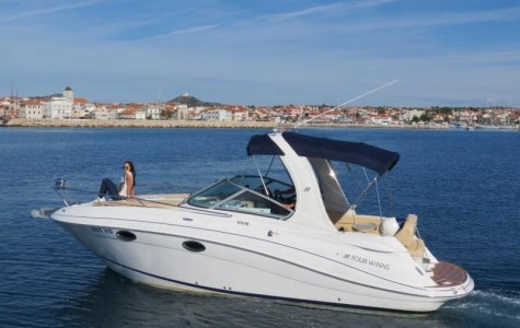 four_winns_278_vista (1)