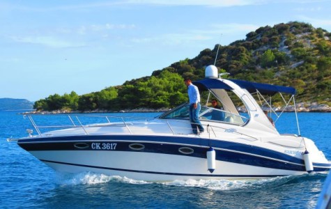 four_winns_318_vista (1)