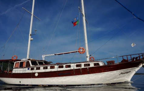 ???????????????????????????????