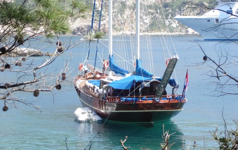 msy_bonaventura (11)