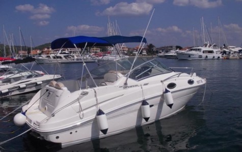 sea_ray_240_sundancer (1)