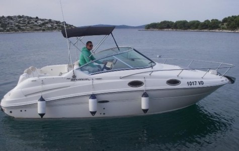 sea_ray_240_sundancer (2)